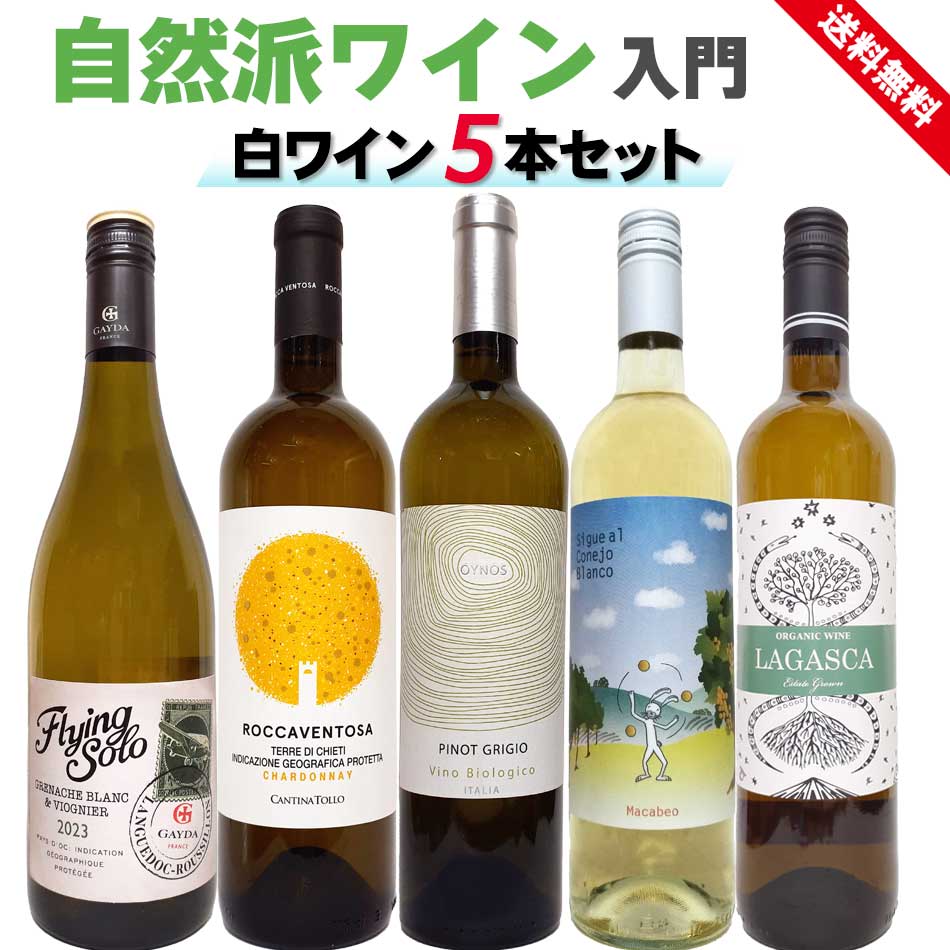 自然派ワイン4本 shizenhawine_4_1024x1024@2x-