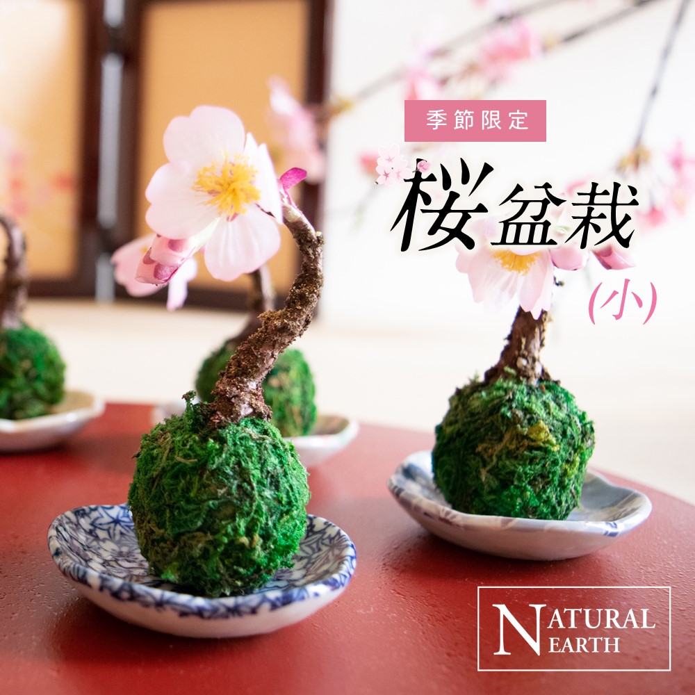 あんこ　ミニ花5点セット 小花柄ラメ刺繍ブラセット: アンダーウェア｜ハニーズ公式通販
