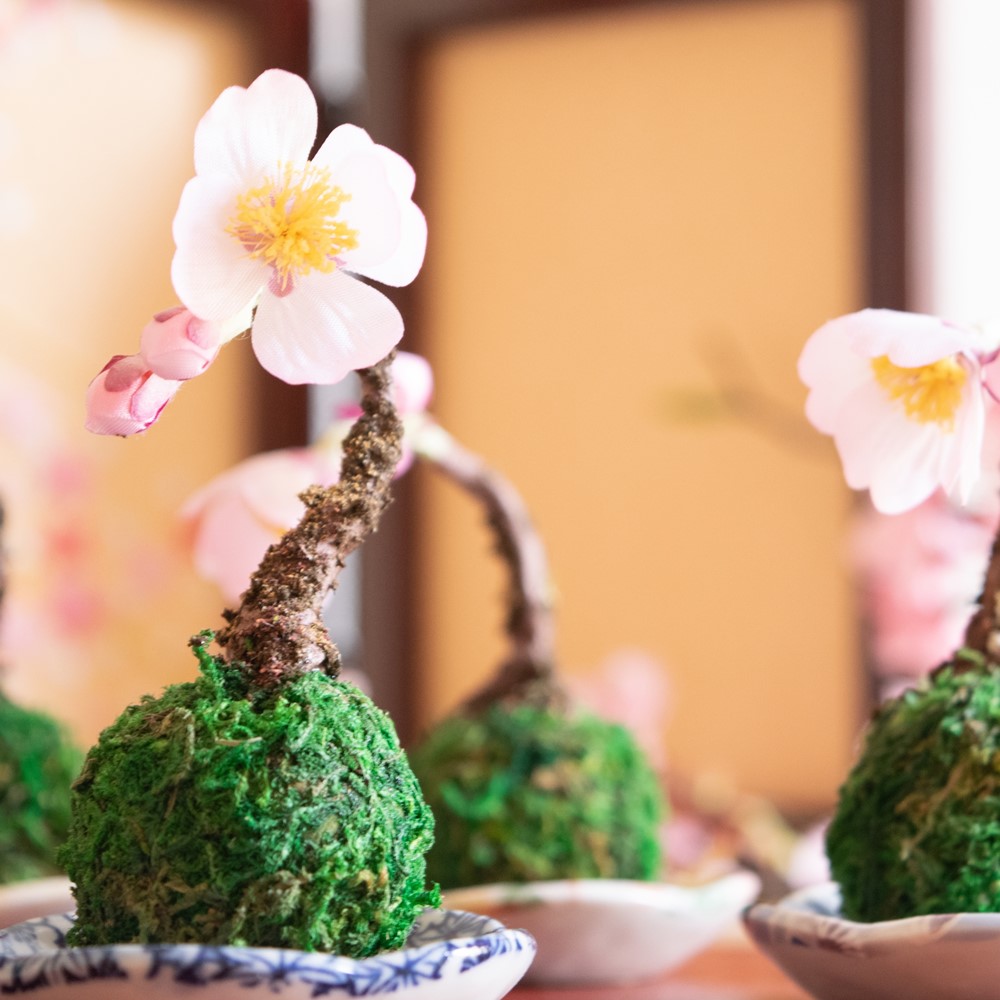 割引クーポン配布中 さくら盆栽 小 苔玉 かわいい 桜 お手入れ不要 おしゃれ インテリア 00円 アートフラワー インテリア アレンジ 送料無料 Giosenglish Com