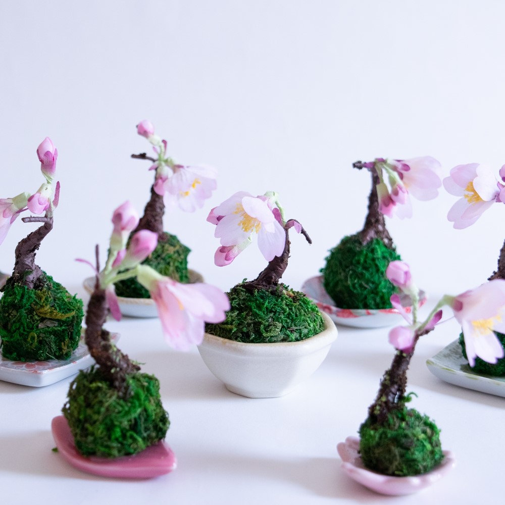 割引クーポン配布中 さくら盆栽 小 苔玉 かわいい 桜 お手入れ不要 おしゃれ インテリア 00円 アートフラワー インテリア アレンジ 送料無料 Giosenglish Com