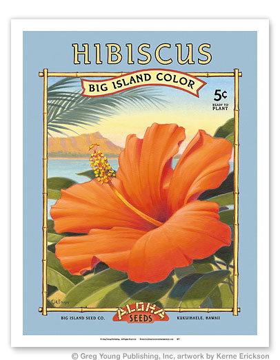 楽天市場 ハワイアンポスター ビンテージ Hibiscus Aloha Seeds 約23 30cm ラナイブルー