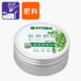 楽天市場 Hyponex ベンジャミンの肥料 観葉植物用 鉢の上に置くだけ Net約70g 錠剤肥料 敬老の日 ポイント消化 観葉植物 Land Plants 楽天市場店