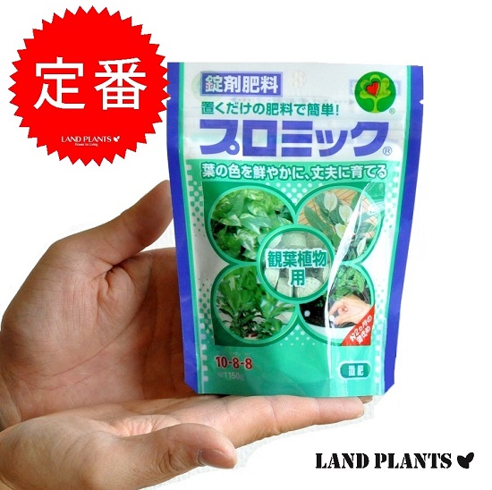 楽天市場 Hyponex ベンジャミンの肥料 観葉植物用 鉢の上に置くだけ Net約70g 錠剤肥料 敬老の日 ポイント消化 観葉植物 Land Plants 楽天市場店