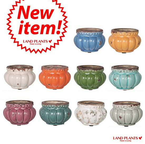楽天市場 植木鉢 パンプキン型 10カラーポット 2号サイズ 陶器鉢 植木鉢 底穴あり フラワーポット ランドプランツ