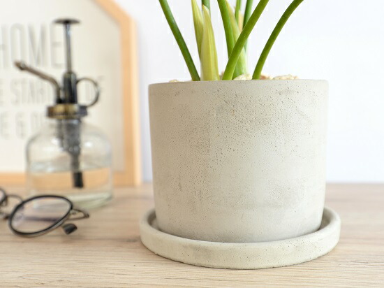 セローム セメン シリンダー鋳型 磁器ボール 鉢植え 鉢 苗 若木 なえ 観葉植物 貨物輸送無料 灰分 灰色 グレー ちゃんころ ラウンド Doorswindowsstairs Co Uk