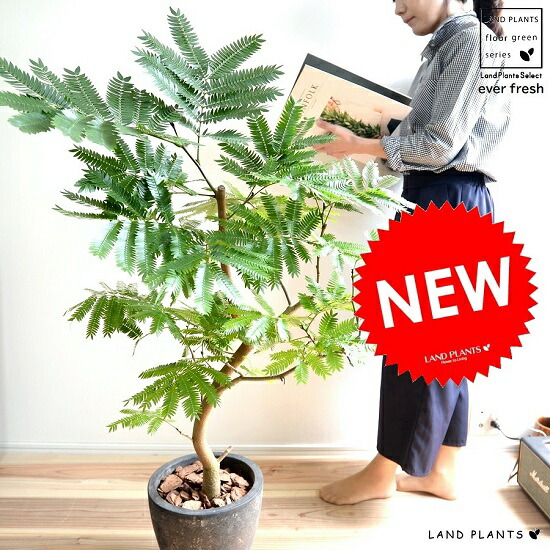 楽天市場】エバーフレッシュ 120cm (造花 観葉植物 インテリア