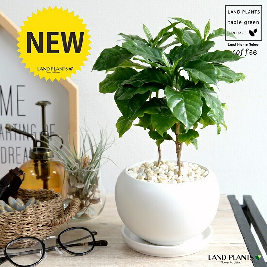 imgrc0099196476.jpg imgrc0099196476.jpg