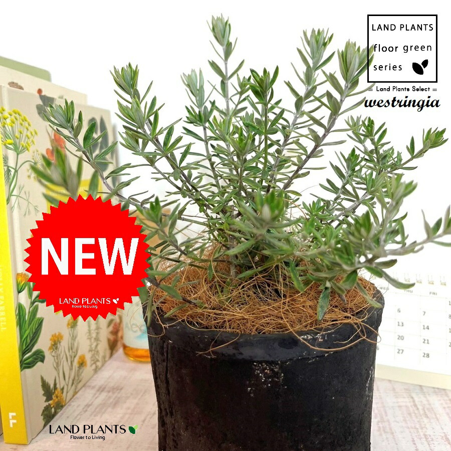 楽天市場】ウイリアムモリス William Morris フローラルシリンダー S