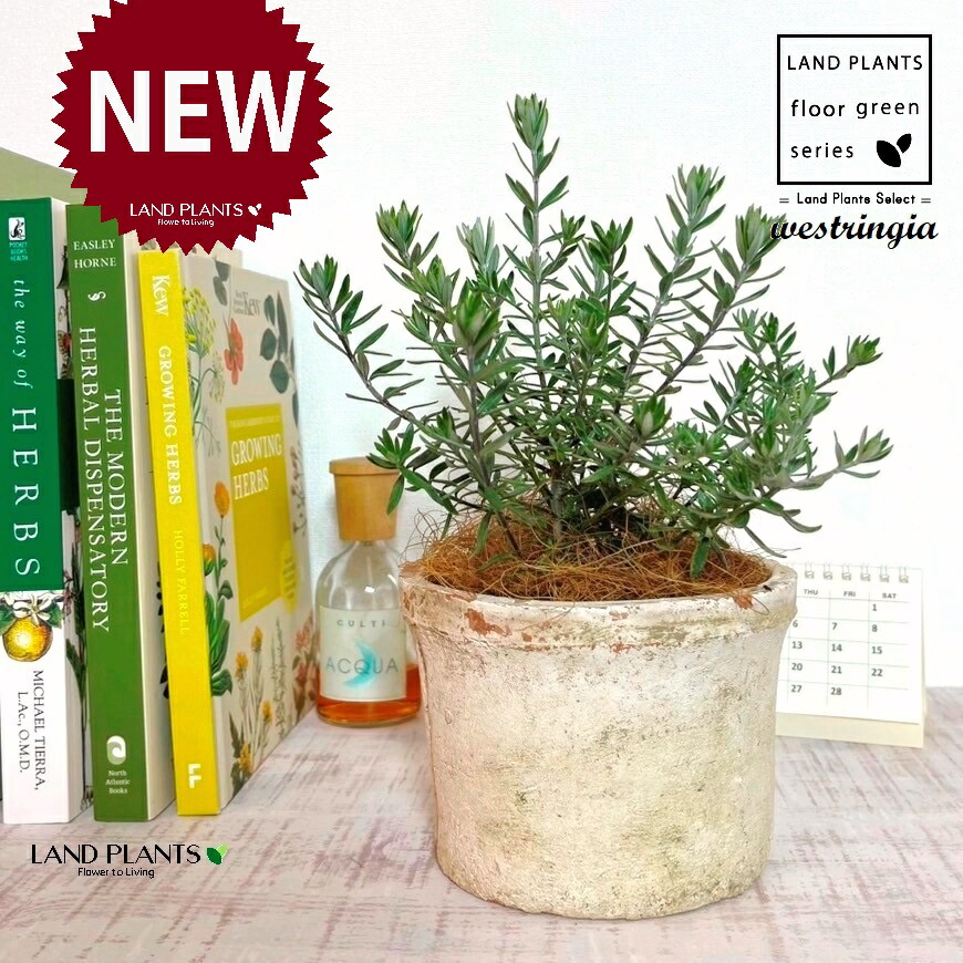 楽天市場】ウイリアムモリス William Morris フローラルシリンダー S