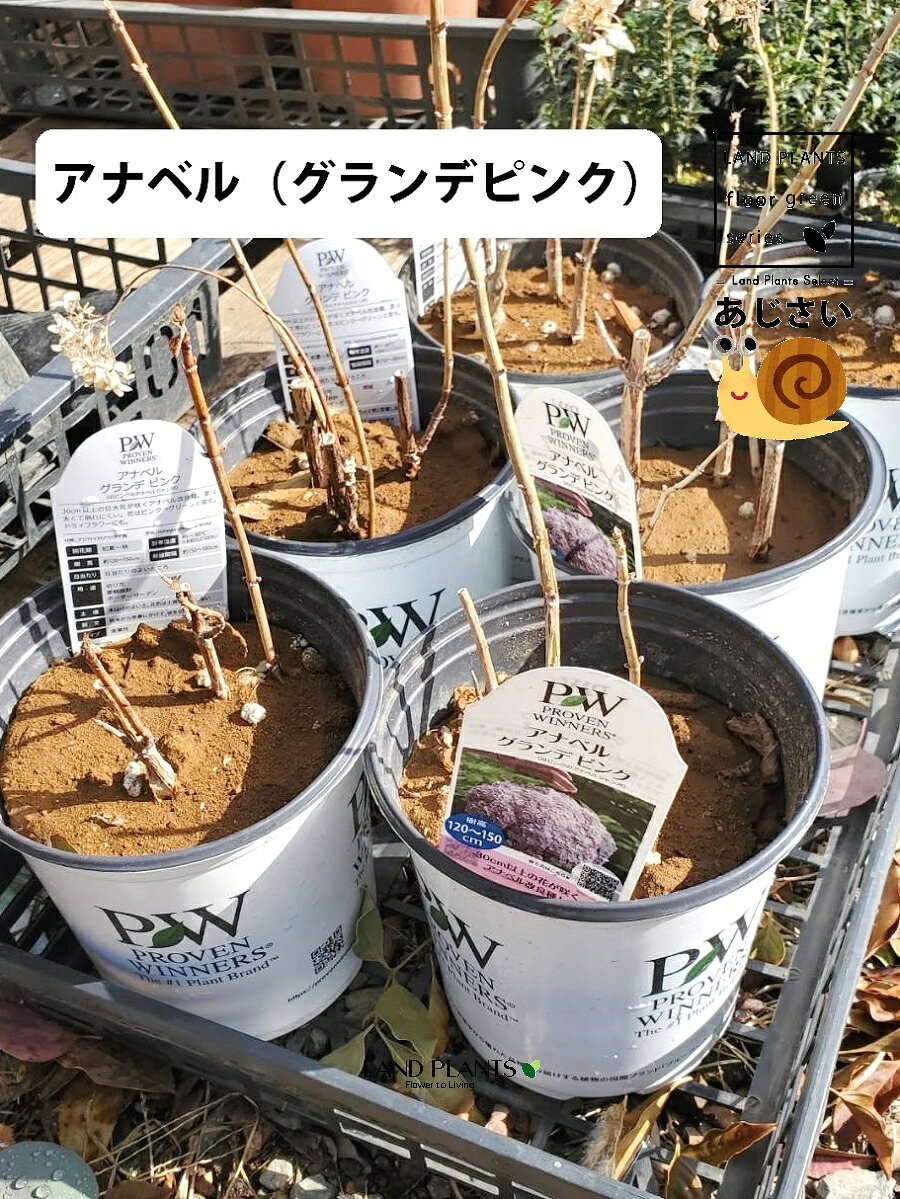 リピート多数 MV2GAHK6GDF [MV2GAHK6GDF]