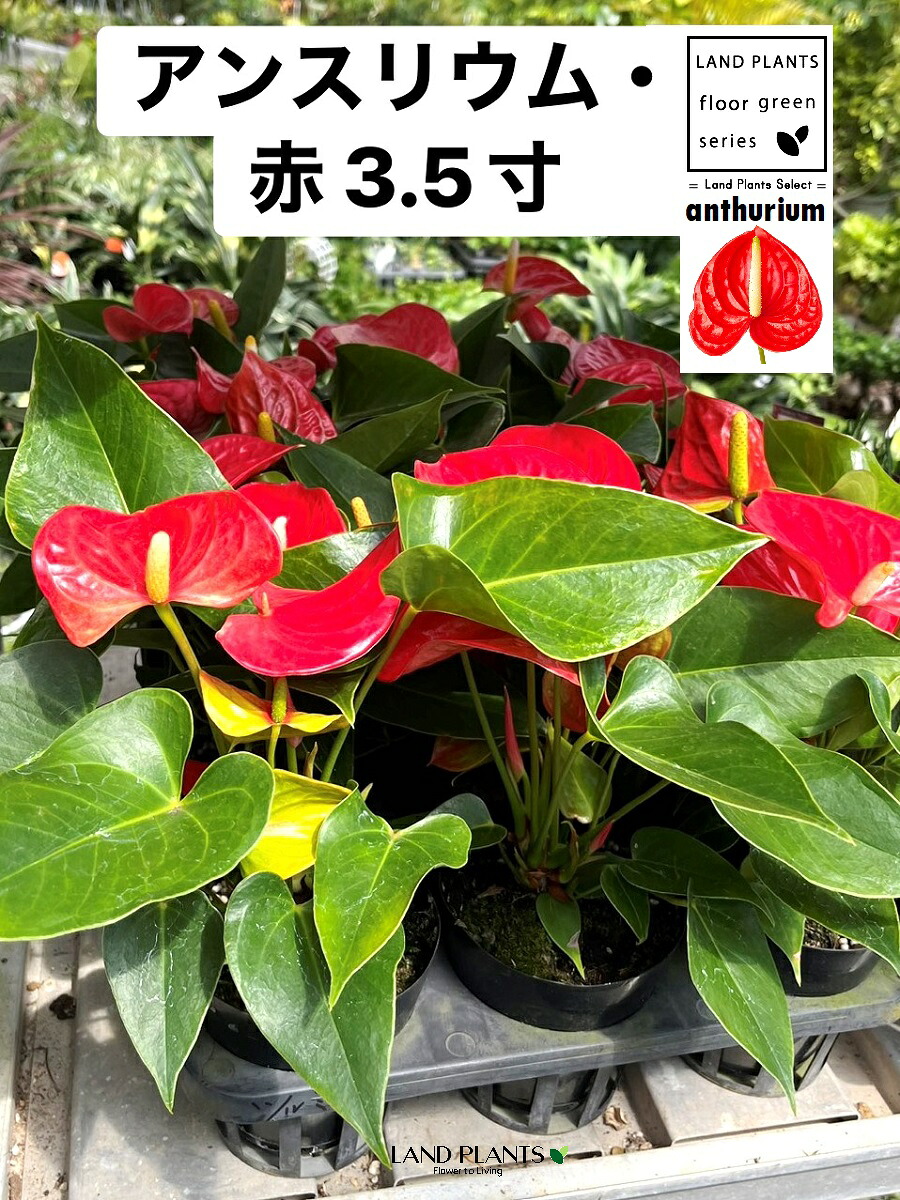 リピート多数 MIUA9B9BI5E 型番:MIUA9B9BI5E