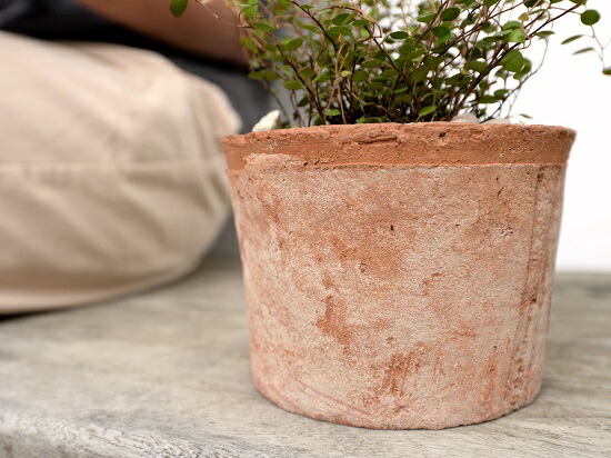 ワイヤープランツ 茶色 モスポット シリンダー型 陶器鉢 天然砕石 ワイヤー グランドカバー つる性植物 鉢植え 鉢 素焼 テラコッタ 茶 ブラウン 丸 丸形 送料無料 育て方カード Maisons Coudrelle Fr