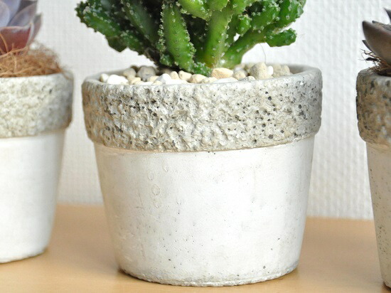 多肉草木 セレウス 石巌意匠の接合剤ポット S大きさ 磁器されこうべ サボテン ミニサボテン 電波を採り入れる成し遂げる 電磁波サボテン 多肉植物 造作ないギフ ミサ 楽ギフ メッセ入力 観葉植物 ペルヴィアヌス ペルービアナス サボテン C4カクタス Foxunivers Com