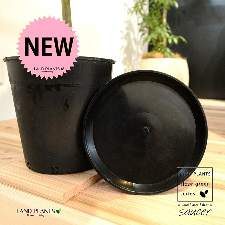 楽天市場】【受け皿】 黒色 丸形 プラスチック製 受皿 （直径：約21cm