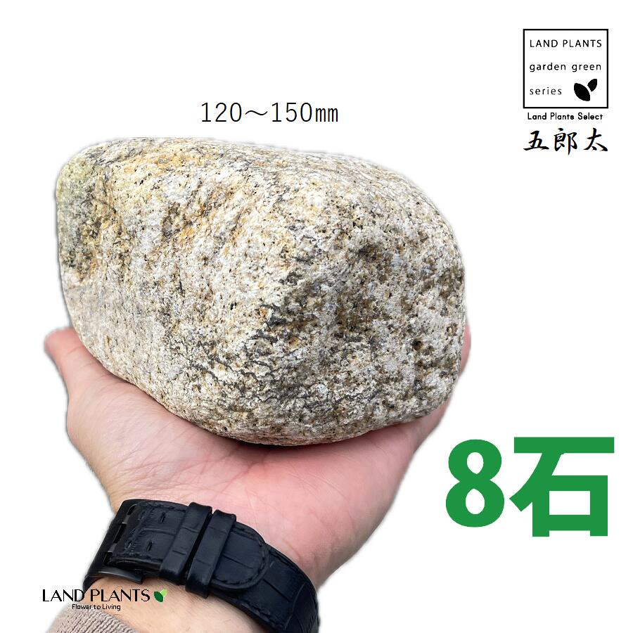 五郎太サビ 4寸～5寸 （8石） (約120mm～150mm) ゴロタ石 ごろた サビ さび ごろたサビ 庭 ガーデン 石 土留め 栗石 ロック sekizai