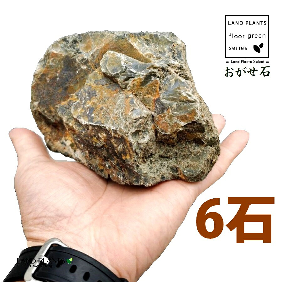 おがせ石（珪岩：岐阜石） 4寸～5寸 （6石） (約120mm～150mm) ロックガーデン用の石 ギフイシ オガセイシ ロックガーデン ロックガーデン用 庭 ガーデン 石 土留め 栗石 ロック sekizai