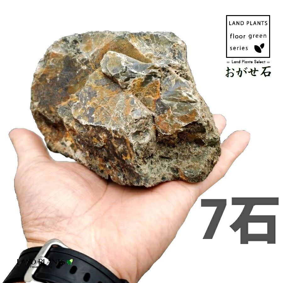 おがせ石（珪岩：岐阜石） 4寸～5寸 （7石） (約120mm～150mm) ロックガーデン用の石 ギフイシ オガセイシ ロックガーデン ロックガーデン用 庭 ガーデン 石 土留め 栗石 ロック sekizai