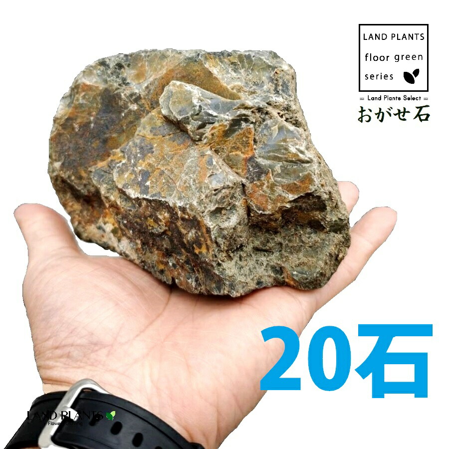 おがせ石(珪岩:岐阜石) 4寸~5寸 (20石) (約120mm~150mm) ロックガーデン用の石 ギフイシ オガセイシ ロックガーデン ロックガーデン用 庭 ガーデン 石 土留め 栗石 ロック sekizai|LAND PLANTS 店