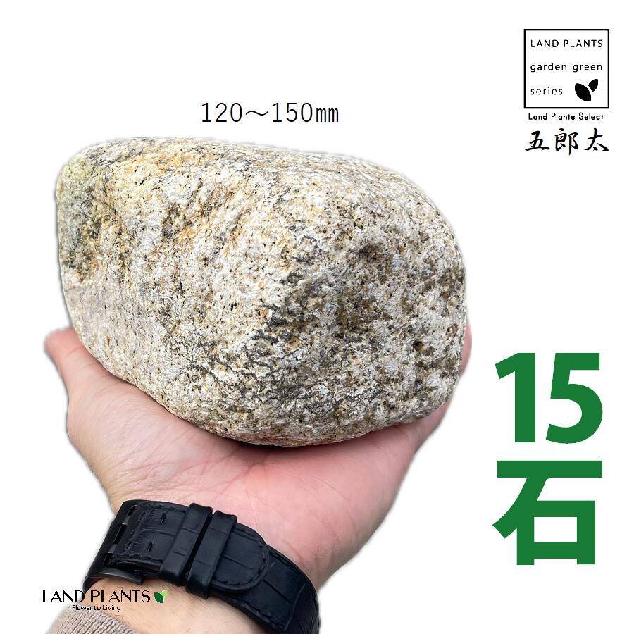五郎太サビ 4寸~5寸 (15石) (約120mm~150mm) ゴロタ石 ごろた サビ さび ごろたサビ 庭 ガーデン 石 土留め 栗石 ロック sekizai
