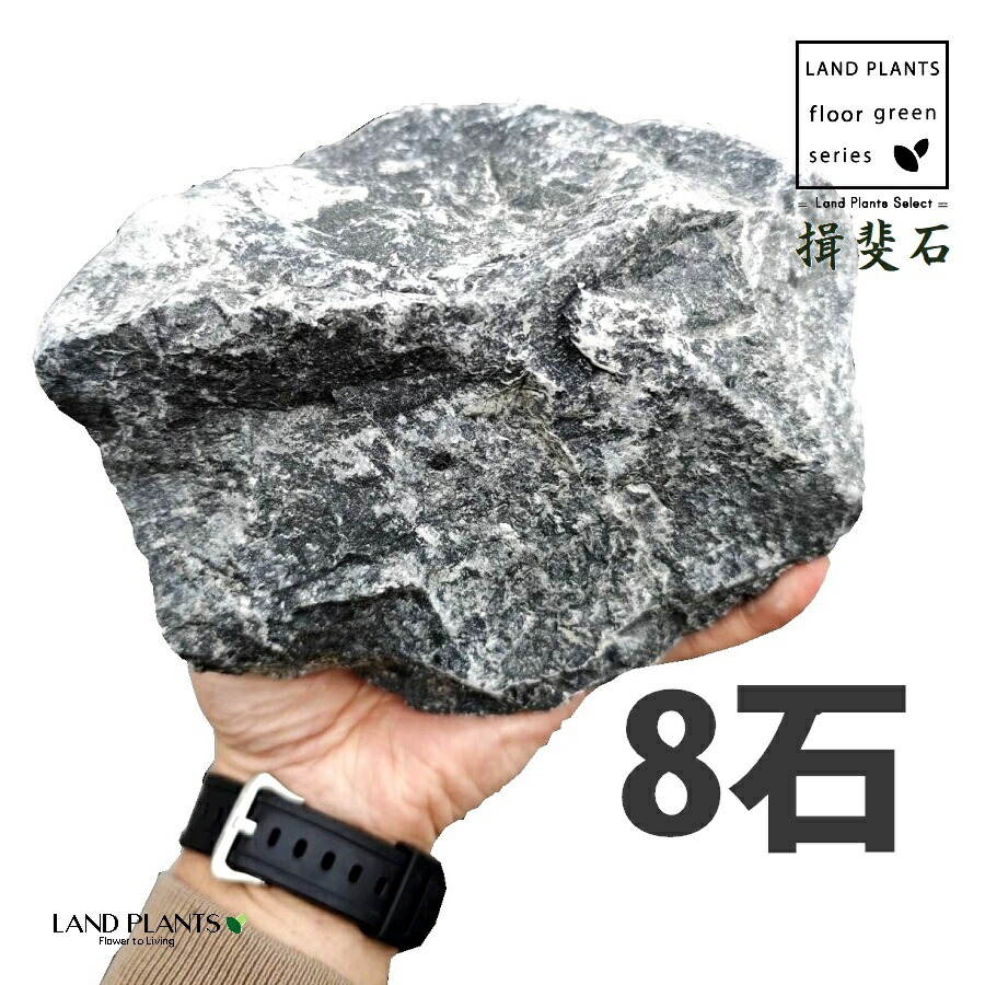揖斐石(揖斐川石) 4寸~5寸 (8石) (約120mm~150mm) ロックガーデン用の石 いびいし いびがわいし ロックガーデン ロックガーデン用 庭 ガーデン 石 土留め 栗石 ロック sekizai|LAND PLANTS 店