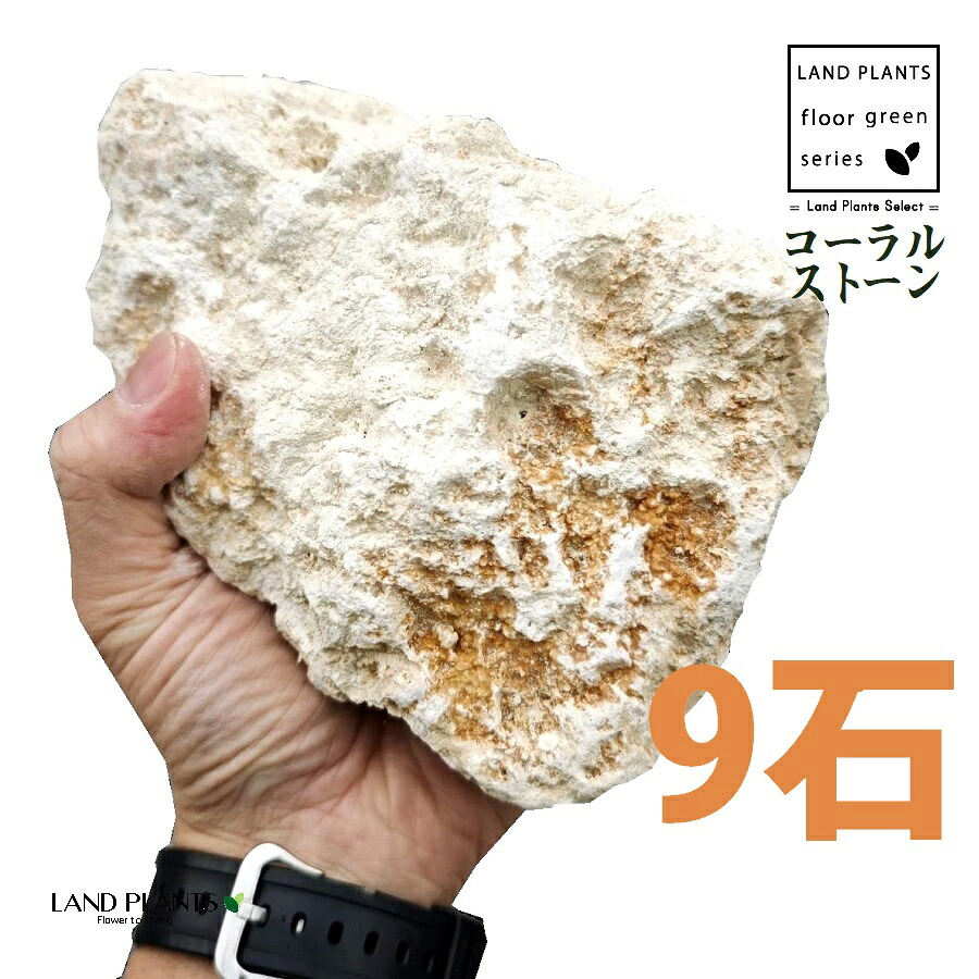 コーラルストーン（琉球石灰岩） 4寸～5寸 （9石） (約120mm～150mm) ロックガーデン用の石 コーラルガーデンストーン CORALSTONE コーラルストーン ロックガーデン ロックガーデン用 庭 ガーデン 石 土留め 栗石 ロック sekizai