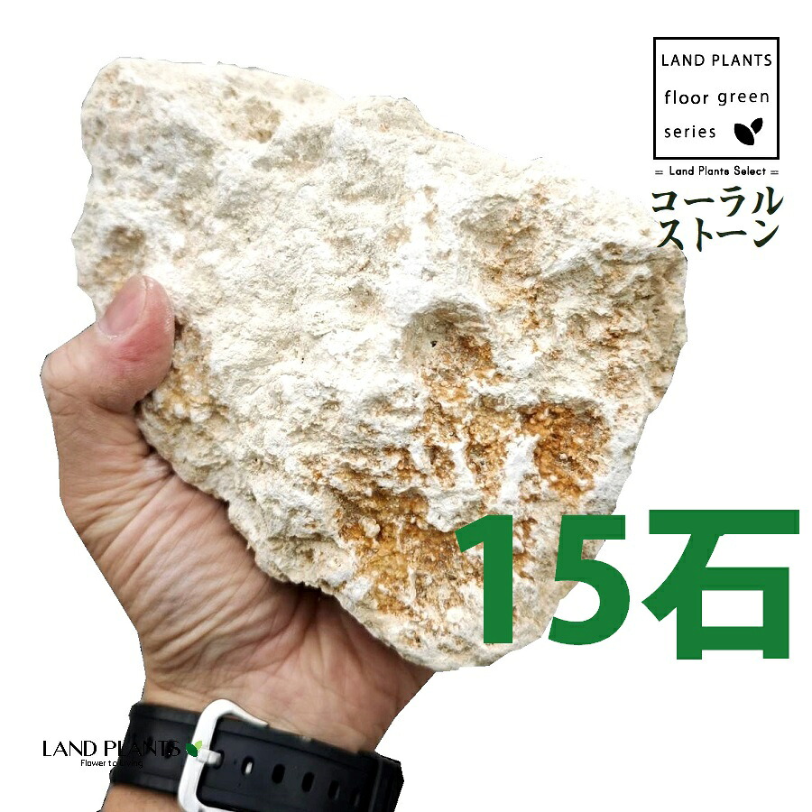 コーラルストーン(琉球石灰岩) 4寸~5寸 (15石) (約120mm~150mm) ロックガーデン用の石 コーラルガーデンストーン CORALSTONE コーラルストーン ロックガーデン ロックガーデン用 庭 ガーデン 石 土留め 栗石 ロック sekizai|LAND PLANTS 店