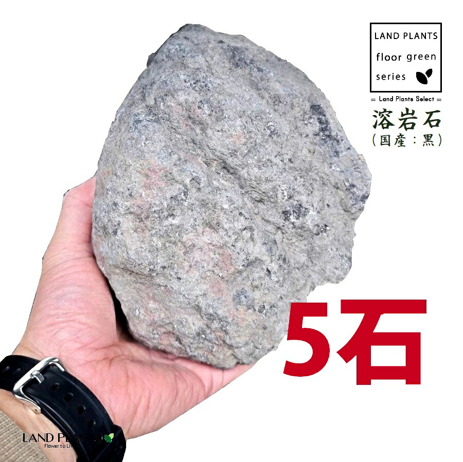 溶岩石（国産溶岩石：黒） 7寸～1尺 （5石） (約210mm～300mm) ロックガーデン用の石 溶岩 火山岩 火山石 ロックガーデン ロックガーデン用 庭 ガーデン 石 土留め 栗石 ロック sekizai｜LAND PLANTS 店