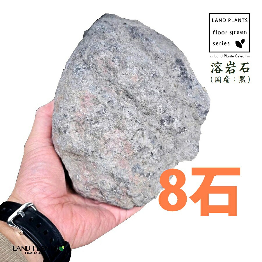 溶岩石（国産溶岩石：黒） 7寸～1尺 （8石） (約210mm～300mm) ロックガーデン用の石 溶岩 火山岩 火山石 ロックガーデン ロックガーデン用 庭 ガーデン 石 土留め 栗石 ロック sekizai