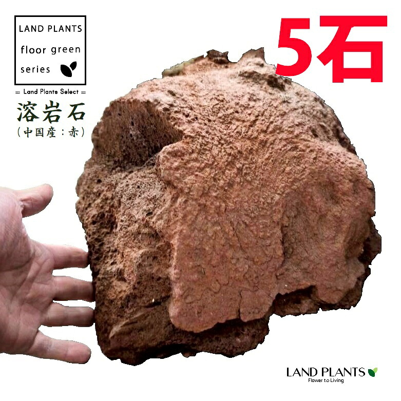 溶岩石（中国産溶岩石：赤） 5石 (約300mm～400mm) ロックガーデン用の石 溶岩 火山岩 火山石 ロックガーデン ロックガーデン用 庭 ガーデン 石 土留め 栗石 ロック sekizai