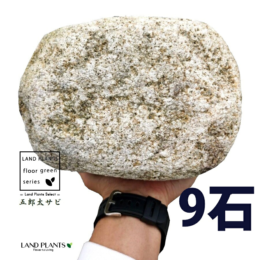 五郎太サビ 6寸～8寸 （9石）  (約200粍～250粍)  ゴロタ石 ごろた サビ さび ごろたサビ 庭 園地 石 土留め 丸石 鍵を掛ける sekizai 石材-花・ガーデン・DIY