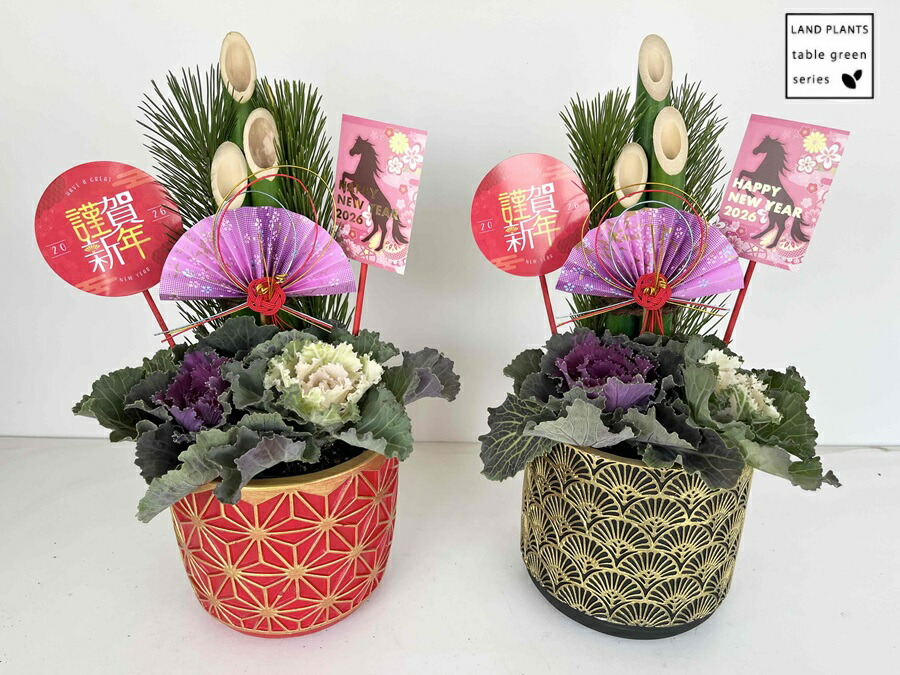 楽天市場】門松（かどまつ：3本仕立て）45cm 5号 木箱 1鉢 KADOMATSU