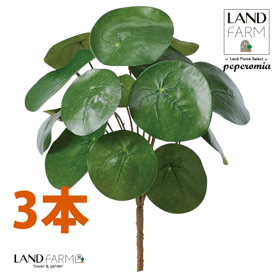 【人工観葉植物】 ピレア（ペペロミオイデス） ブーケ （3本） ペペロミア ペペ ピレアペペロミオイデス 造花 観葉植物造花 56724-A Pilea peperomioides Objet Plants
