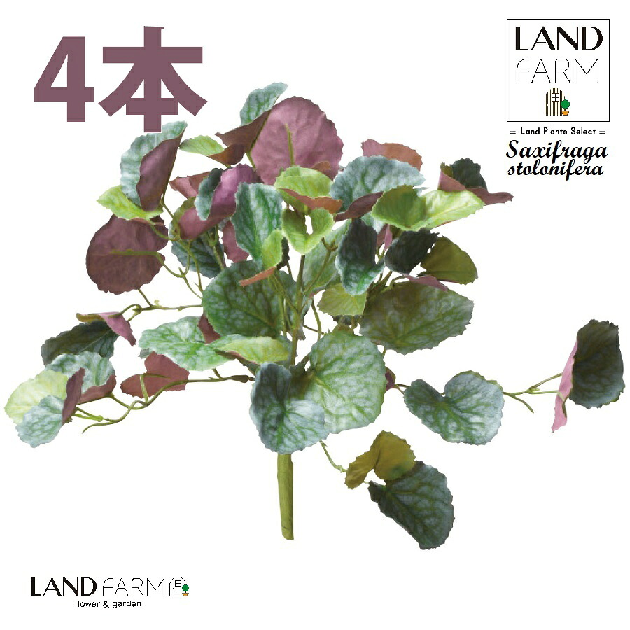 【人工観葉草木】 ユキノシタ（雪の下・雪下） 胸花 （4本） 【ココファイバー】 イドクサ コジソウ 虎耳草 造花 観葉草木造花 16934-A Saxifraga stolonifera