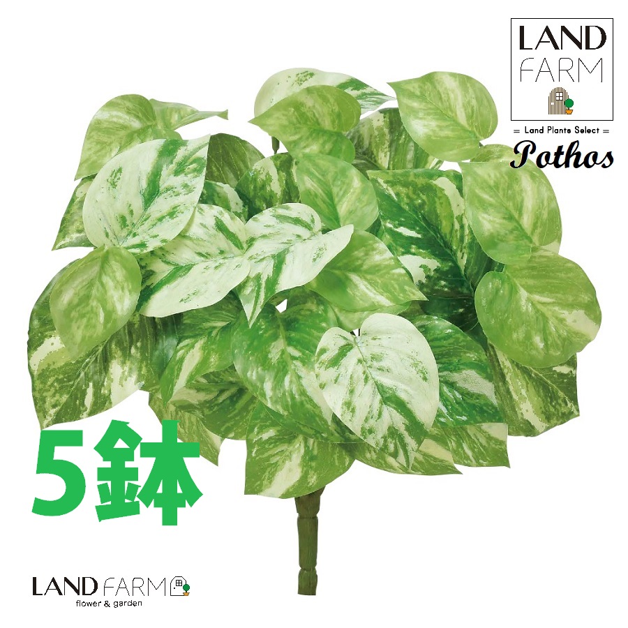 OBJET ポトス（オーレア） ブーケ（5本） 【人工観葉植物】造花 観葉植物 オウゴンカズラ 黄金葛 葛 34334-A Pothos Objet Plants｜LAND PLANTS 店