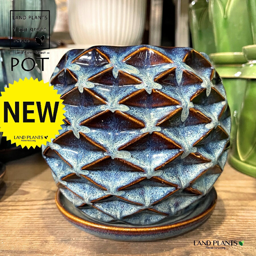 楽天市場】なまこ柄 プリーツ ラウンド型 陶器鉢 クリーム色 （Mサイズ