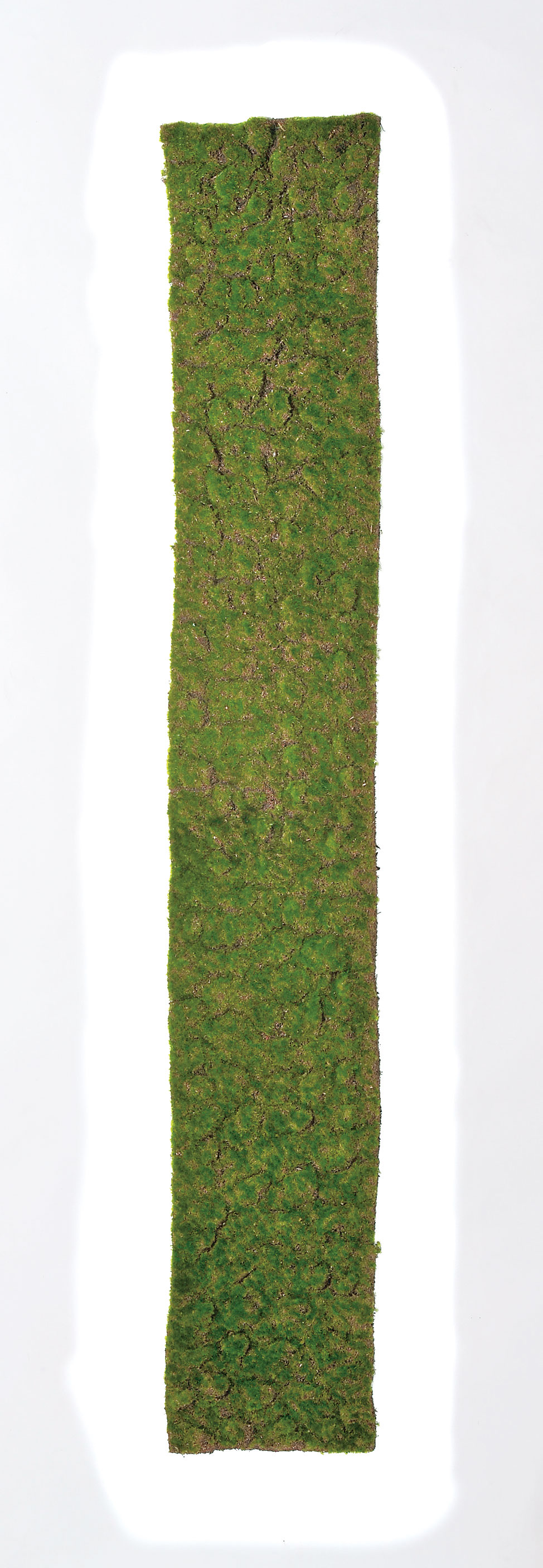 ﾓｽﾏｯﾄ ﾓｽ 世界の人気ブランド