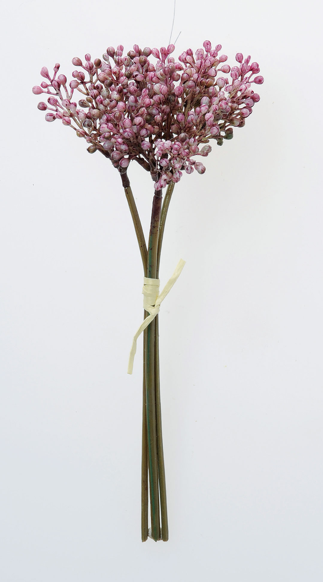 高額売筋 ベリーバンチ パ プル 1束3本 花 観葉植物 高額売筋 ベリーバンチ パ プル 1束3本 花 観葉植物