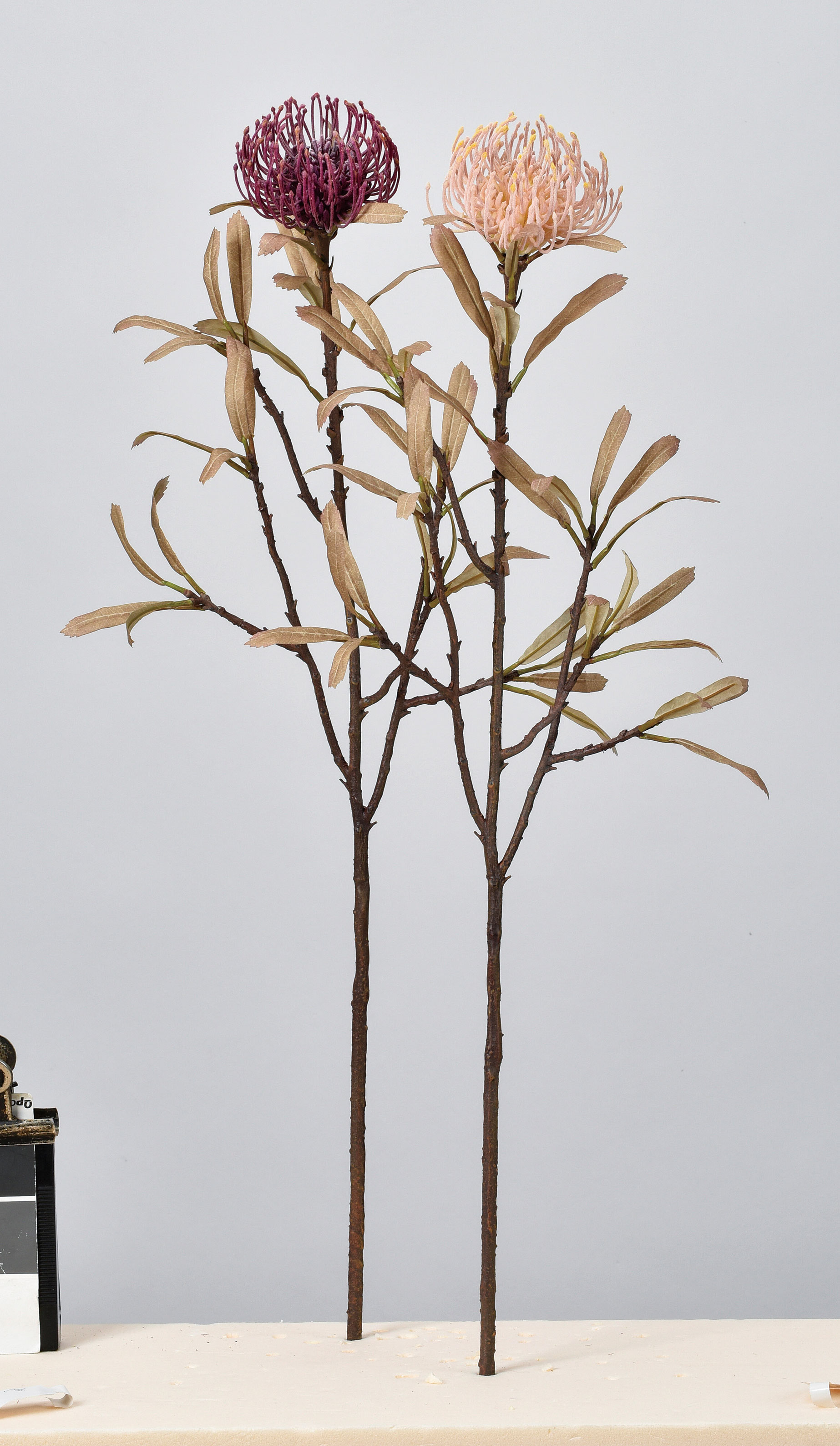 ﾋﾟﾝｸｯｼｮﾝ ﾊﾟ ﾌﾟﾙ 最大60 Offクーポン