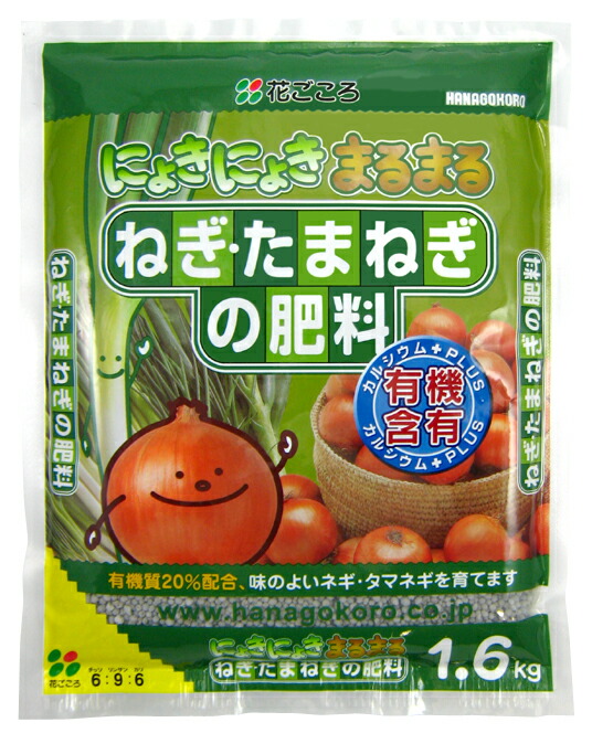 楽天市場】【京都伝統野菜】 ネギ（九条葉ねぎ：クジョウハネギ