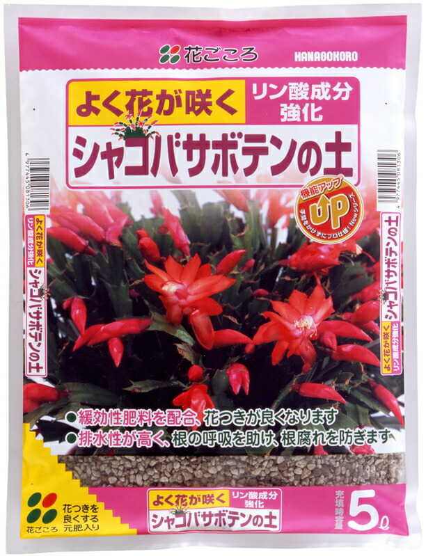 楽天市場】サボテン・多肉植物の土10Lクジャクサボテン
