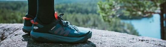 楽天市場】【ケース販売：15入】 さくらんぼ（暖地）15鉢 4号 ポット苗