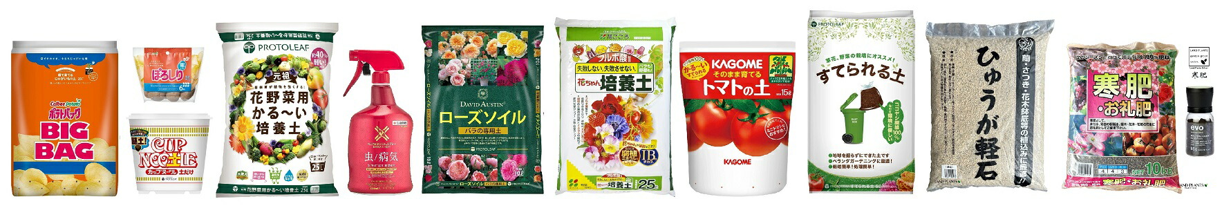 楽天市場】ガジュマル(超幹太) デザインの良い テラコッタ鉢 1 楽天市場】ガジュマル(超幹太) デザインの良い テラコッタ鉢 1