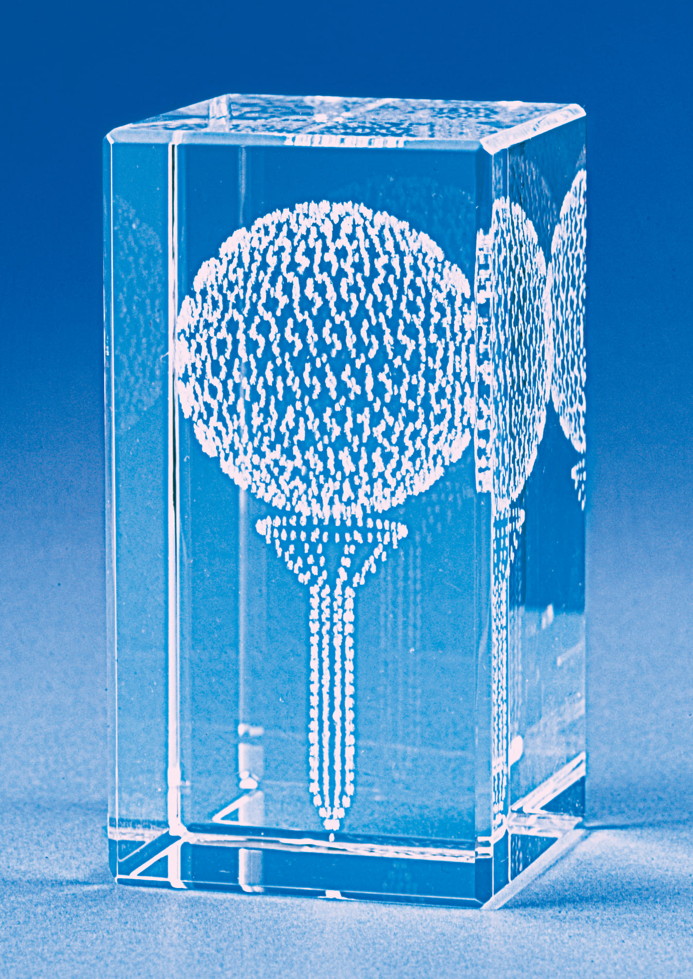 楽天市場】クーポン発行中 ゴルフバッグ おしゃれ インテリア 置物