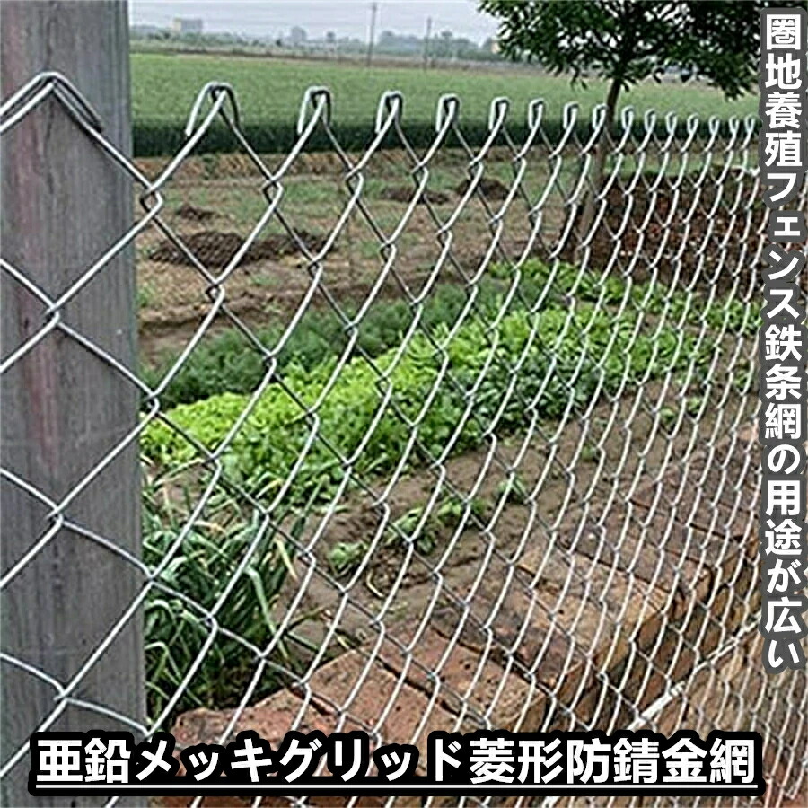 ワイヤーメッシュフェンス 金網 針金サイバー空間 単穴径5-6珊 融けるジンクメッキガーデンメッシュフェンスヘビーデューティ再当て嵌める能力のあるな家禽サイバー空間、苗を保護することします 高さ1.2 1.5 1.8 2.0m 長さ10 20m