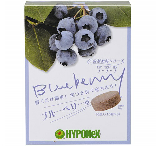 楽天市場 Hyponex ウンベラータの肥料 観葉植物用 鉢の上に置くだけ Net約70g 錠剤肥料 敬老の日 ポイント消化 観葉植物 ランドプランツ 楽天市場 Hyponex ウンベラータの肥料 観葉植物用 鉢の上に置くだけ Net約70g 錠剤肥料 敬老の日 ポイント消化 観葉植物 ランドプランツ