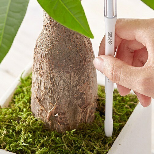 楽天市場 水分計 サスティー Sサイズ ホワイト 2 3号鉢におすすめ 水やりのタイミングが分かる植物用水分計 Sustee 観葉植物 多肉植物 植物用 サスティーのみのご注文はポスト投函でのお届けとなります ５営業日以内に発送 プランツショップorage