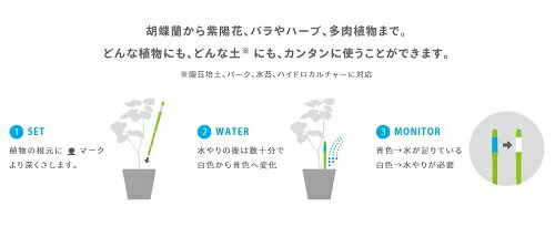 楽天市場 植物の水分計 Sustee サスティー Sサイズ 交換可能 Cabinotier 2号 2 5号 3号 3 5号 観葉植物 ラン 多肉植物 サボテン 花苗 サスティ ランドプランツ