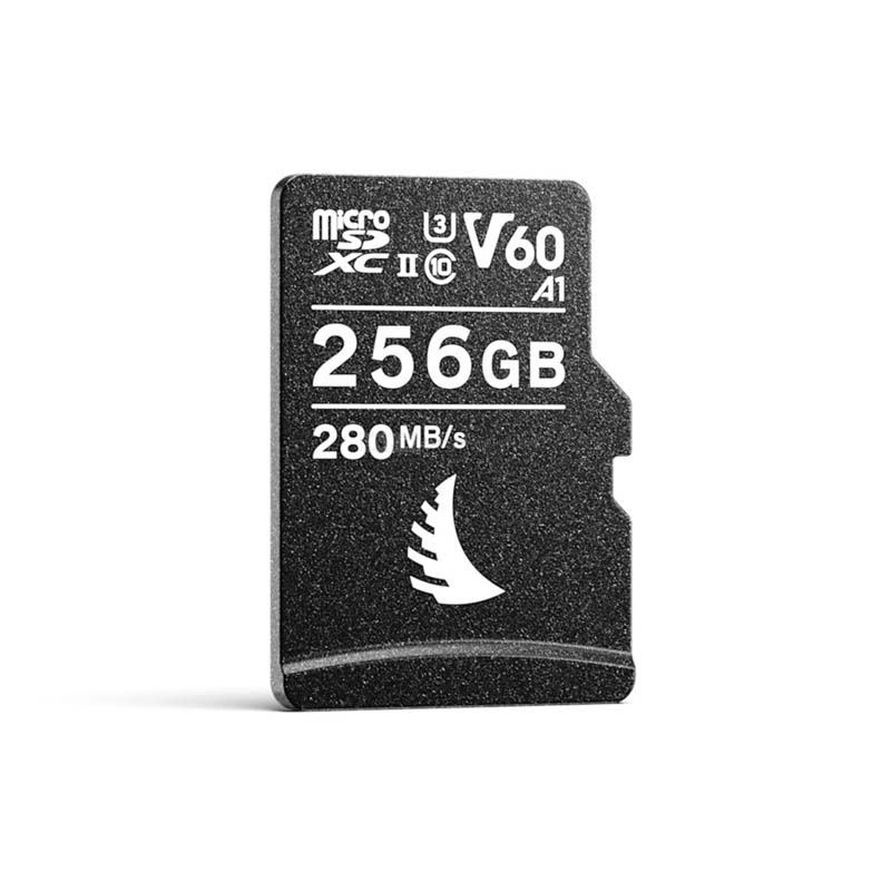 ディズニープリンセスのベビーグッズも大集合 Angelbirdav Pro Microsd 256 Gb V60 Avp256msdv60 Hidromares Com Br