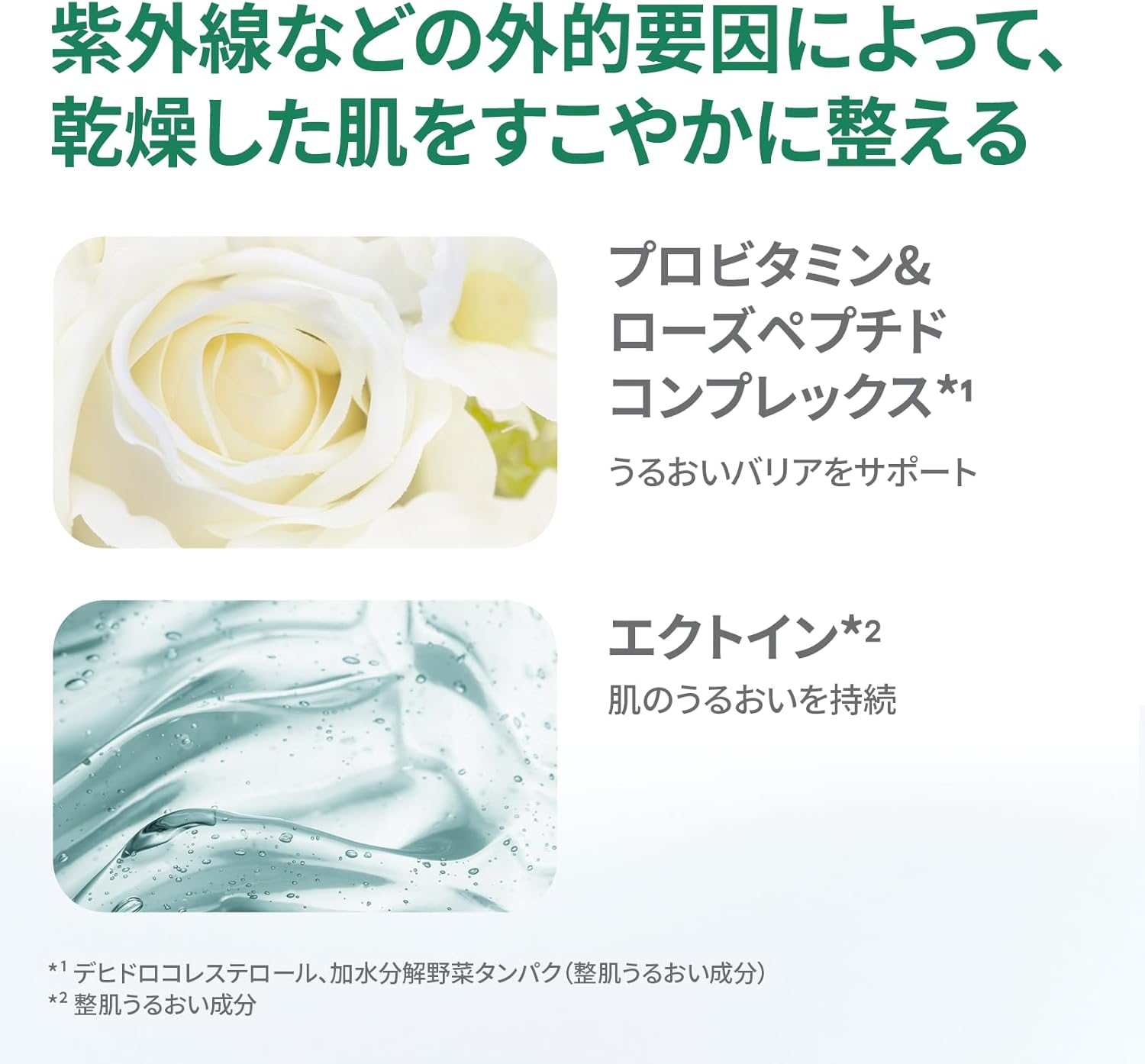 期間限定☆最大1000円OFFクーポン／[楽天1位] フェイスクリーム ナイト