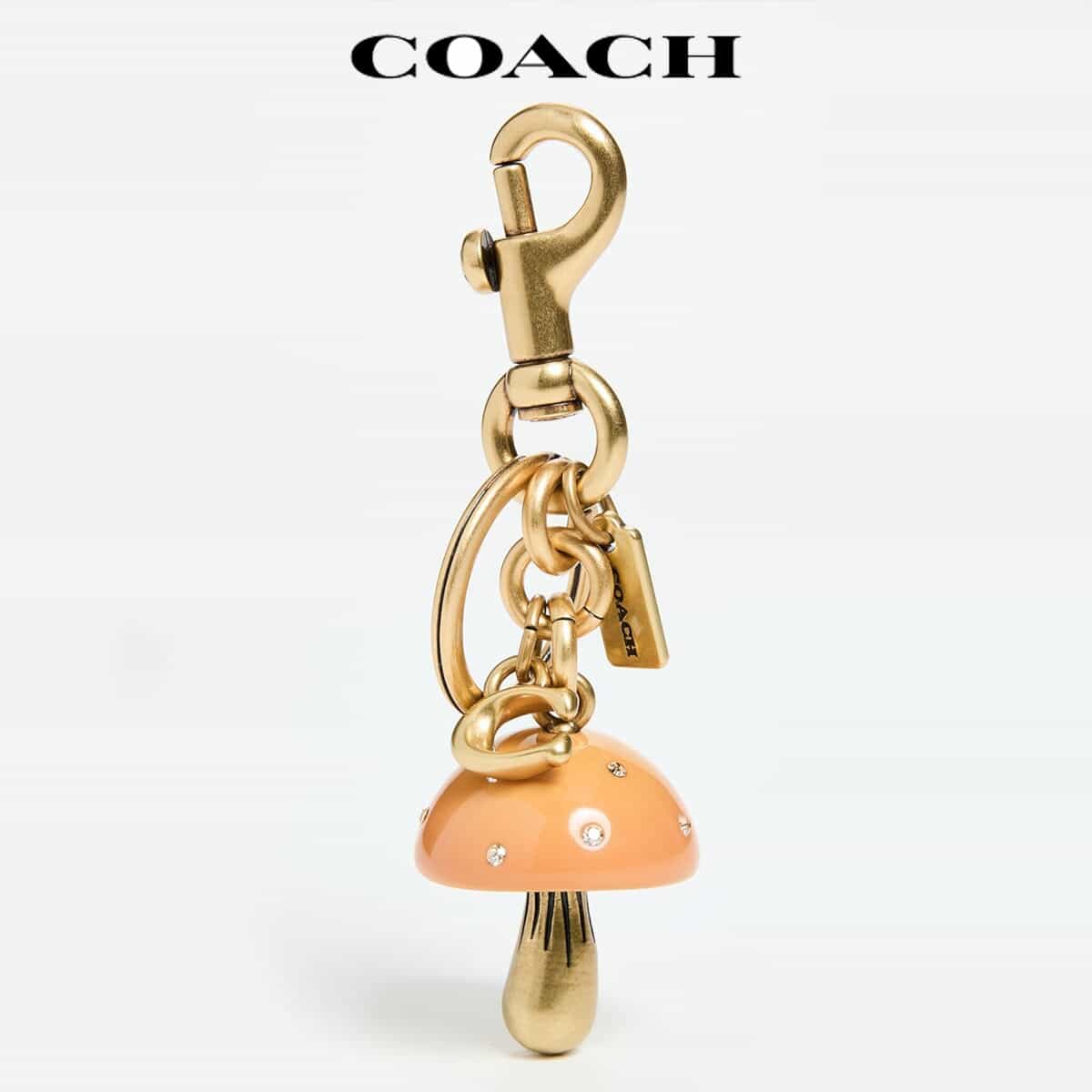 楽天市場】COACH コーチ キーホルダー 恐竜 ステゴサウルス